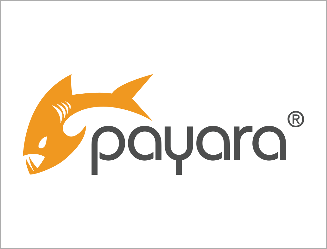 Payara Services